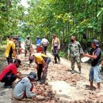 TMMD Kodim Bojonegoro, Tiga Pilar Tambakrejo Kompak Perbaiki Jalan Ngrancang