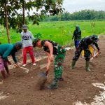 Gotong Royong, Satgas TMMD Bojonegoro Bersama Warga Ratakan Pasir Urug Perbaikan Jalan