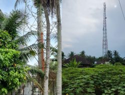 Tower BTS PT Telkomsel di Serdang Bedagai Sumut Diprotes Warga