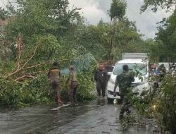 Pohon Tumbang Akibat Puting Beliung, Dandim Surabaya Timur Turun Tangan