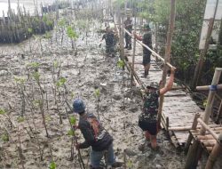 Dukung Program KASAD, Kodim 0830/Surabaya Utara Siapkan Lahan untuk Penanaman Mangrove